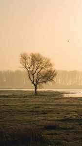 PRASHANT ARTS Wallpaper 194