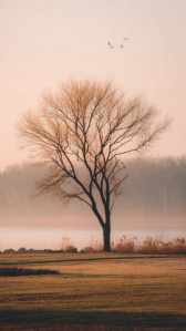 PRASHANT ARTS Wallpaper 197