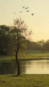 PRASHANT ARTS Wallpaper 198